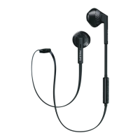 Preview: Philips SHB5250