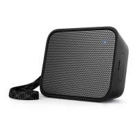 Preview: Philips BT110