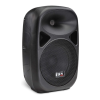 Speaker System Logo
