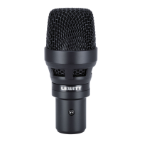Preview: Lewitt DTP 340 TT