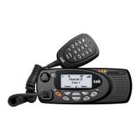 Preview: Tait TM9300