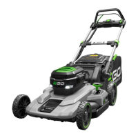 Preview: EGO LM2100SP