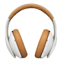 Preview: Samsung Level Over