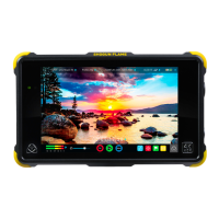 Preview: Atomos Shogun flame