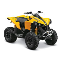 Preview: Can-Am Renegade 500