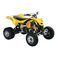 Preview: Can-Am 2008 DS 450