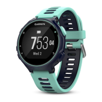 Preview: Garmin Forerunner 735XT