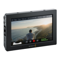 Preview: Blackmagicdesign Blackmagic Video assist