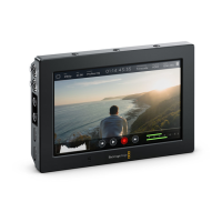 Preview: Blackmagic Video assist