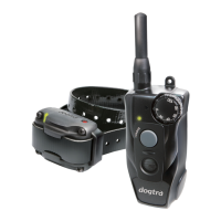 Preview: Dogtra 200C