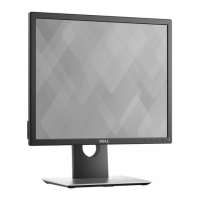 Preview: Dell P1917S