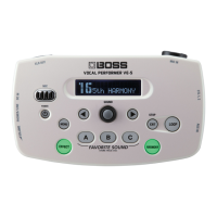 Preview: Boss VE-5