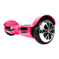 Preview: SWAGTRON T3