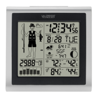 Preview: La Crosse Technology 308-1451