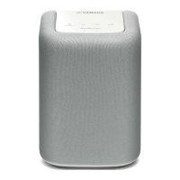 Preview: Yamaha MUSICCAST WX-010