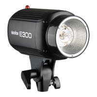 Preview: Godox E300