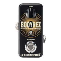Preview: TC Electronic BodyRez