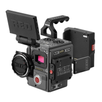 Preview: RED WEAPON Series