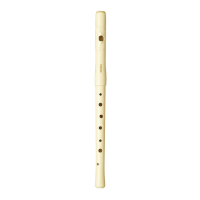 Preview: Yamaha YRF-21