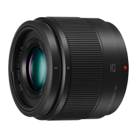 Preview: Panasonic H-H025