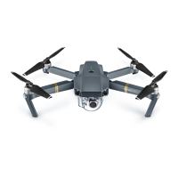 Preview: dji MAVIC PRO