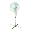 Fan Logo
