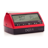 Preview: DGT Pi