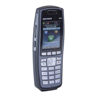 Preview: SpectraLink 8440