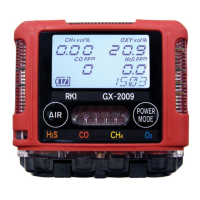 Preview: RKI Instruments GX-2009