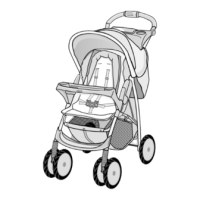 Preview: Graco Carrier