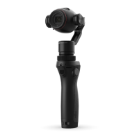 Preview: dji OSMO+