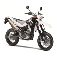 Preview: Yamaha 2011 WR250X
