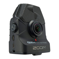 Preview: Zoom Q2N