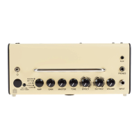 Preview: Yamaha THR5A