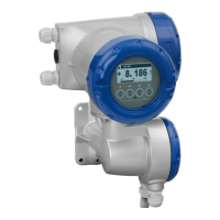 Preview: KROHNE ifc 300