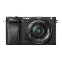 Preview: Sony A6300