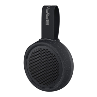 Preview: Braven 105