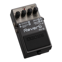 Preview: Boss rv-6
