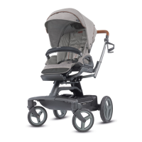 Preview: Inglesina Quad