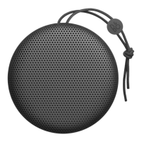 Preview: BeoPlay A1