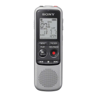Preview: Sony ICD-BX140