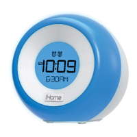 Preview: iHome IM29