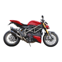 Preview: Ducati Streetfighter