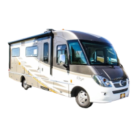 Preview: Winnebago Reyo