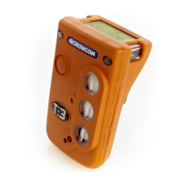 Preview: Crowcon Tetra 3