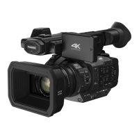 Preview: Panasonic HC-X1