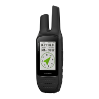 Preview: Garmin RINO 750