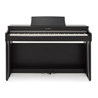 Preview: Kawai CN27