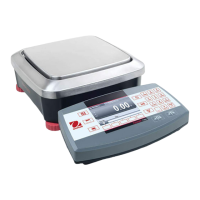 Preview: OHAUS ranger 7000
