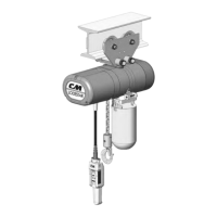 Preview: Lodestar CM Hoist